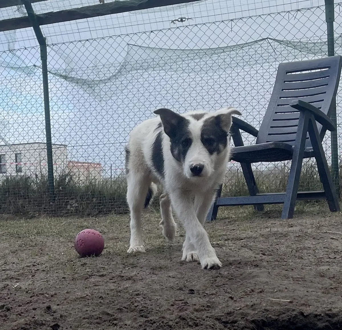 Ruby -  - Bild 5