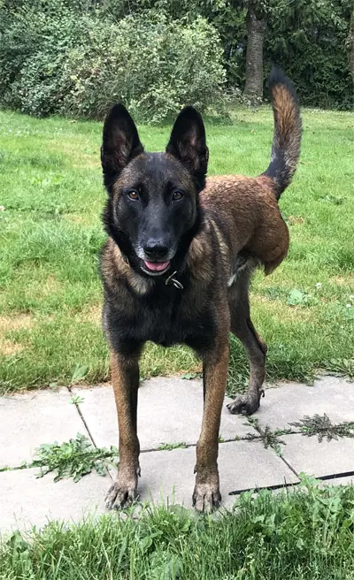Niki -  - Bild 2