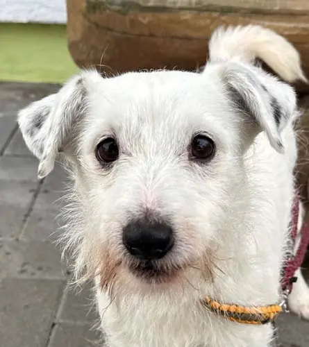 Max -  - Bild 10