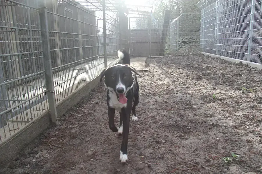 Marley -  - Bild 9
