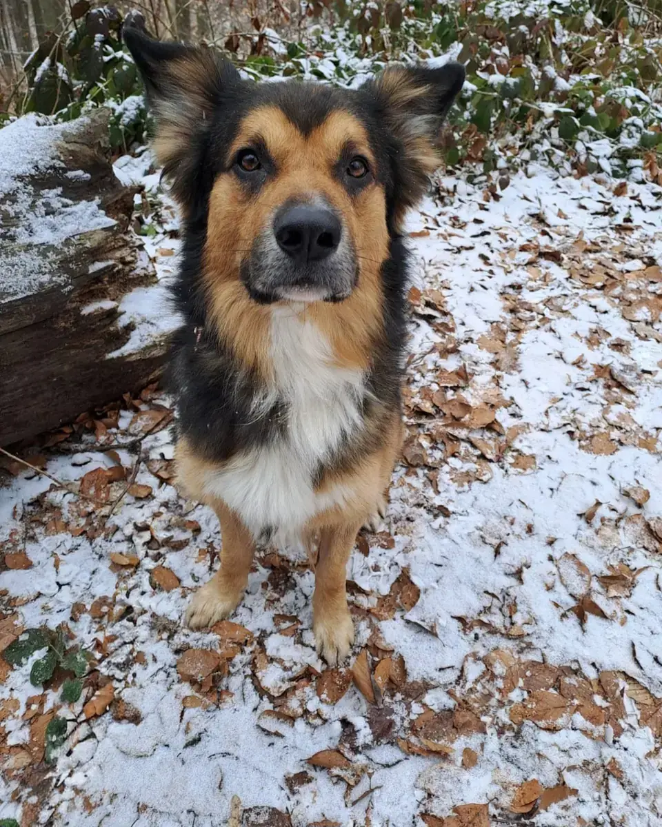 Rocky -  - Bild 1