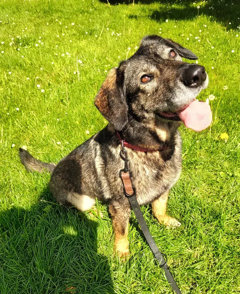 Azia -  - Bild 4