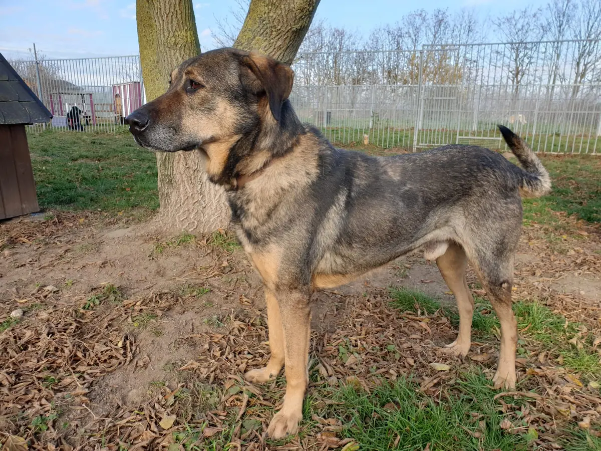 Cicero -  - Bild 3