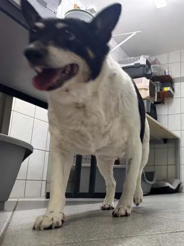 Milly -  - Bild 15