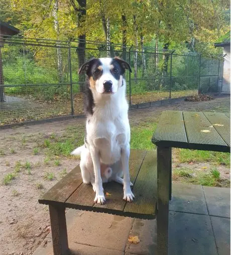 Meilo -  - Bild 1