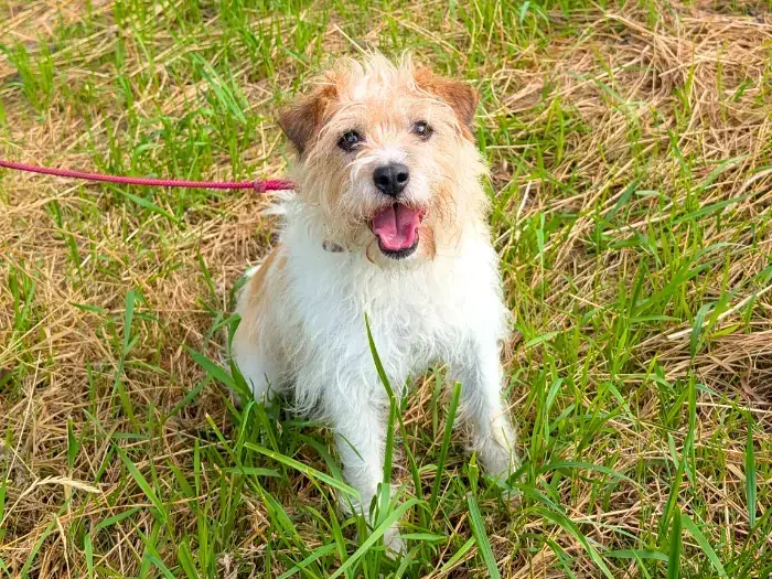 Max -  - Bild 4