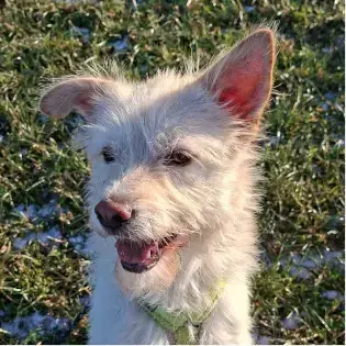 Tara -  - Bild 1