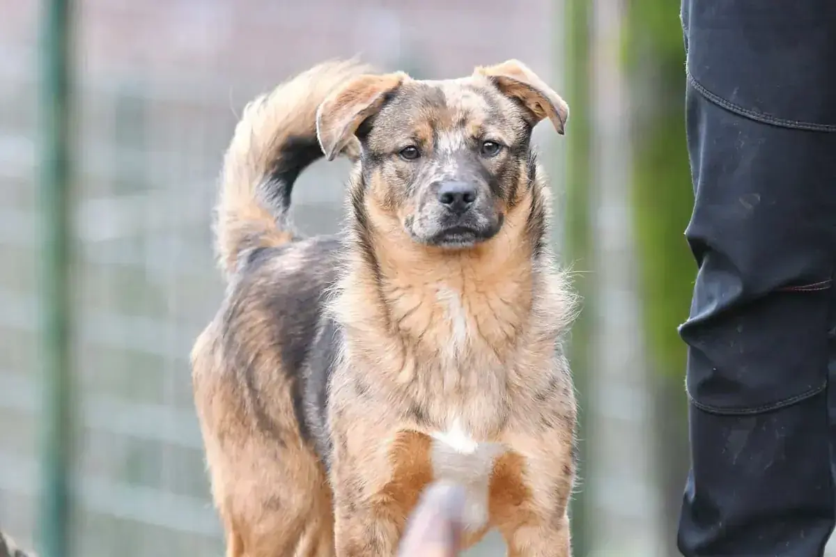 Helmut -  - Bild 5