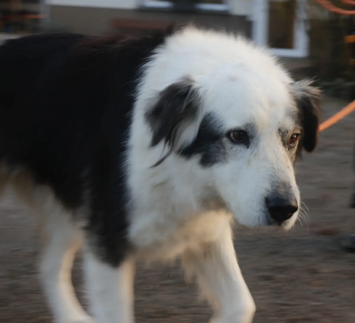 Rita -  - Bild 1