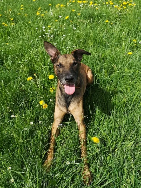 Aki -  - Bild 32