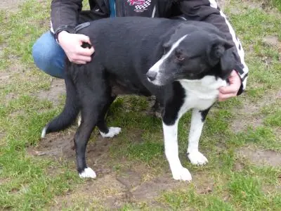 Maja -  - Bild 11