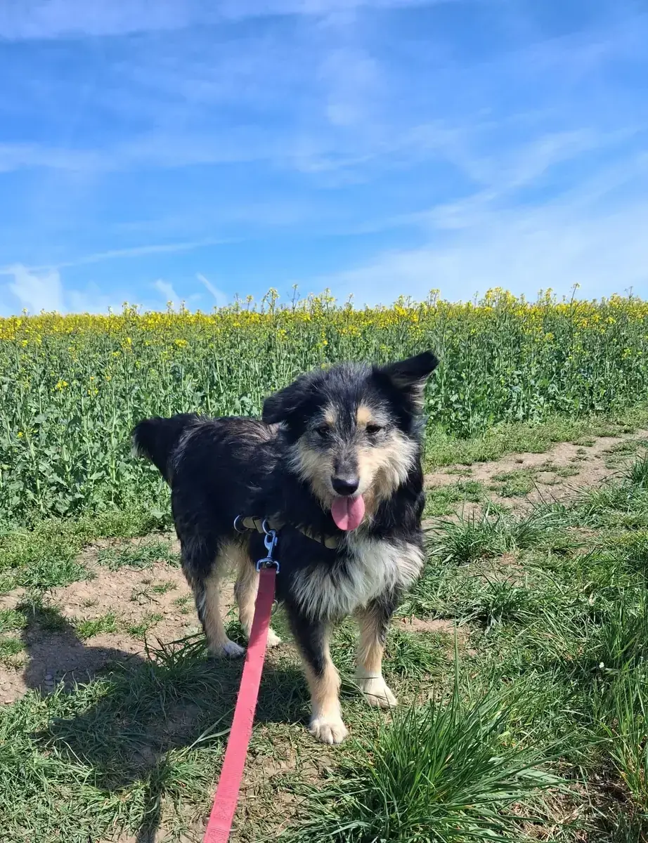 Greta -  - Bild 4