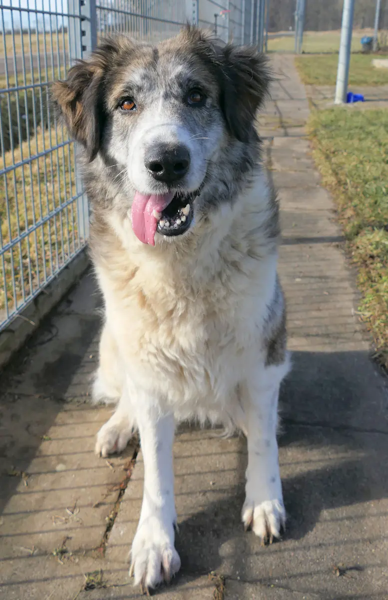 Marla -  - Bild 3