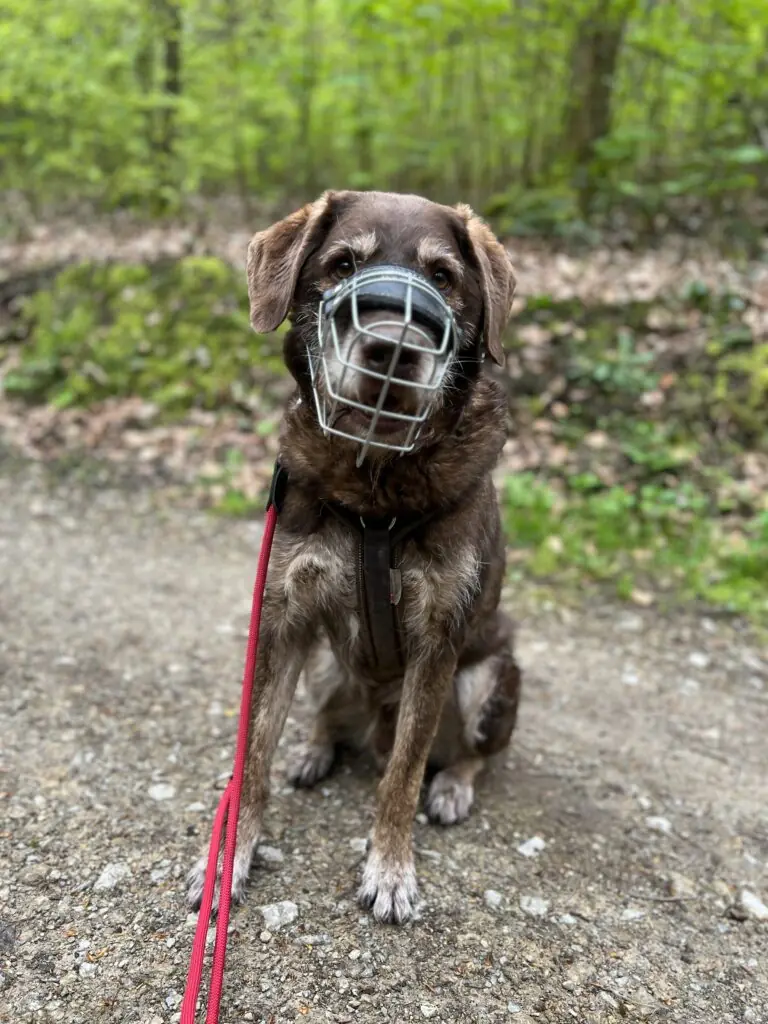 Max -  - Bild 9