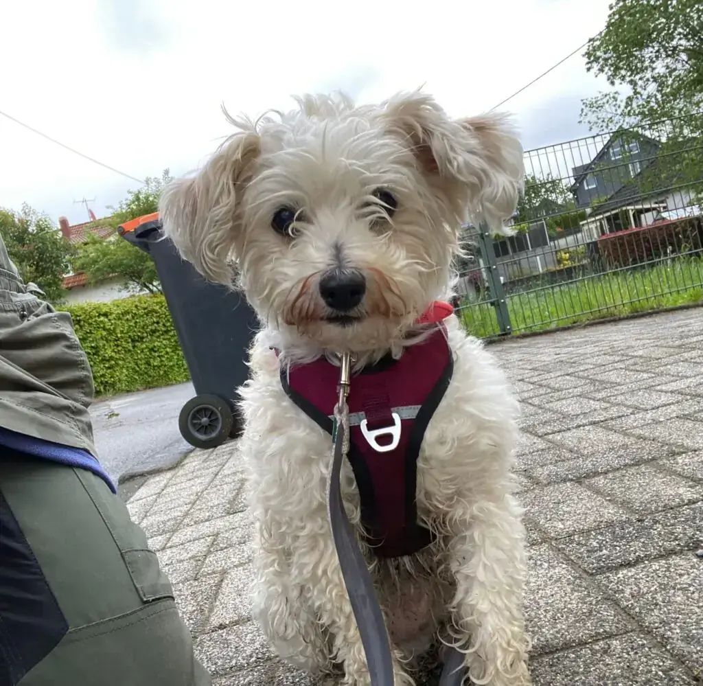 Lucie -  - Bild 1