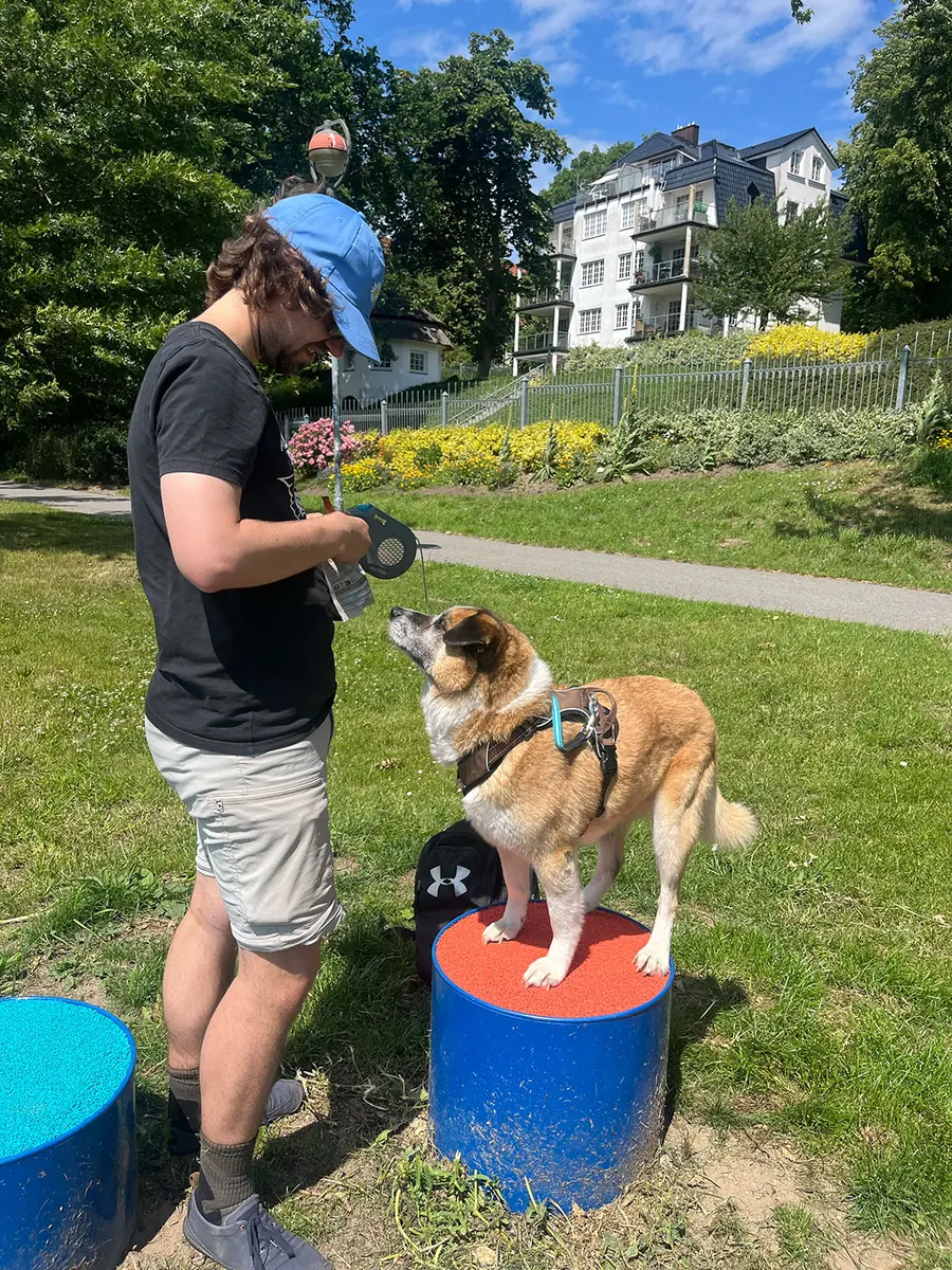 Loui -  - Bild 27
