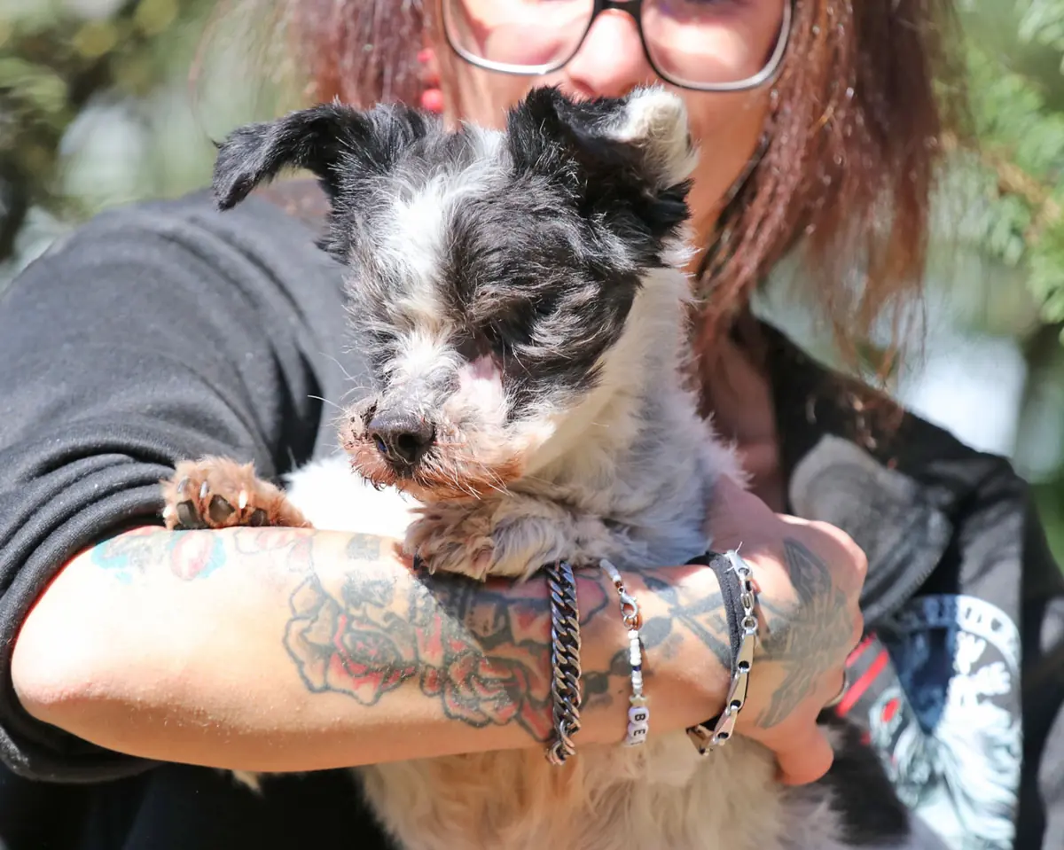 Andi -  - Bild 7