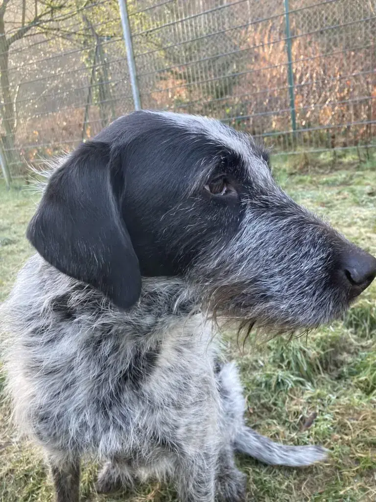 Kira -  - Bild 2
