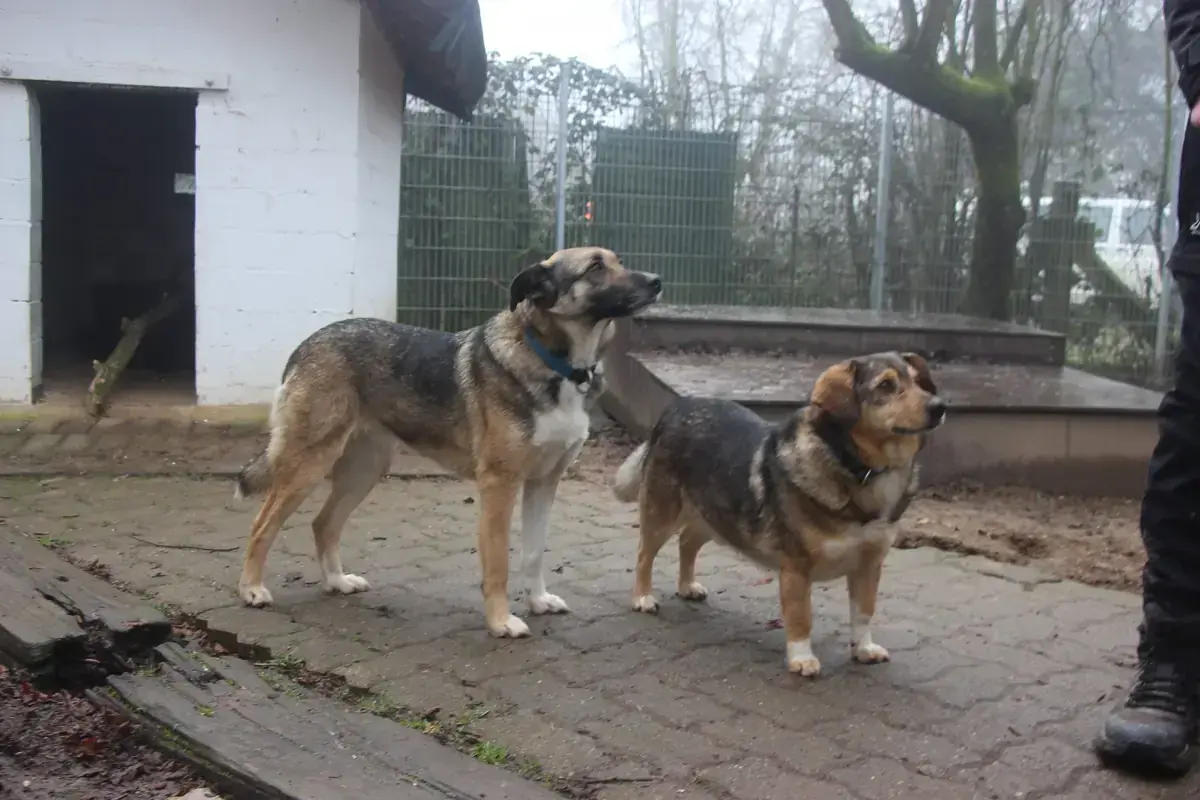 Blanca -  - Bild 6
