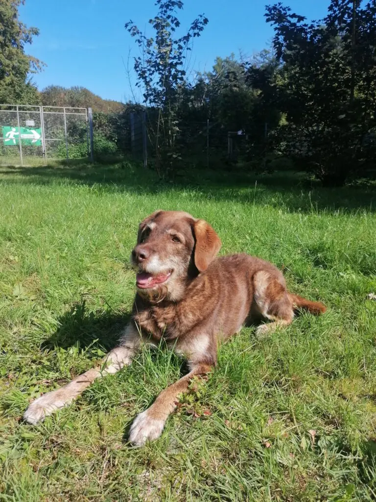 Max -  - Bild 1