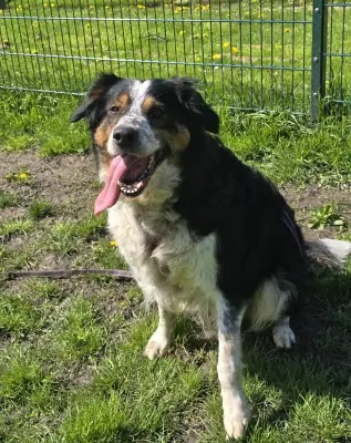 Alice -  - Bild 1