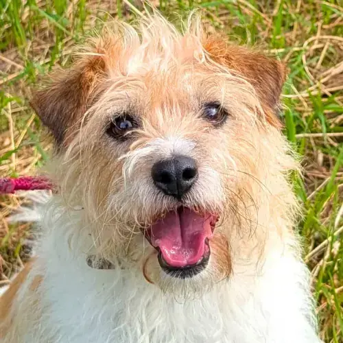 Max -  - Bild 1