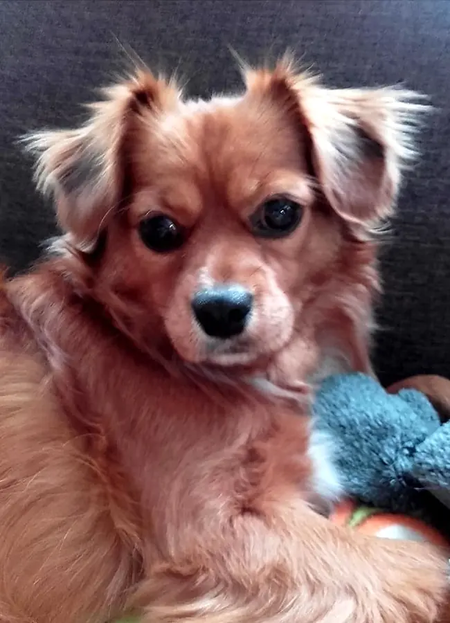 Ayla -  - Bild 3