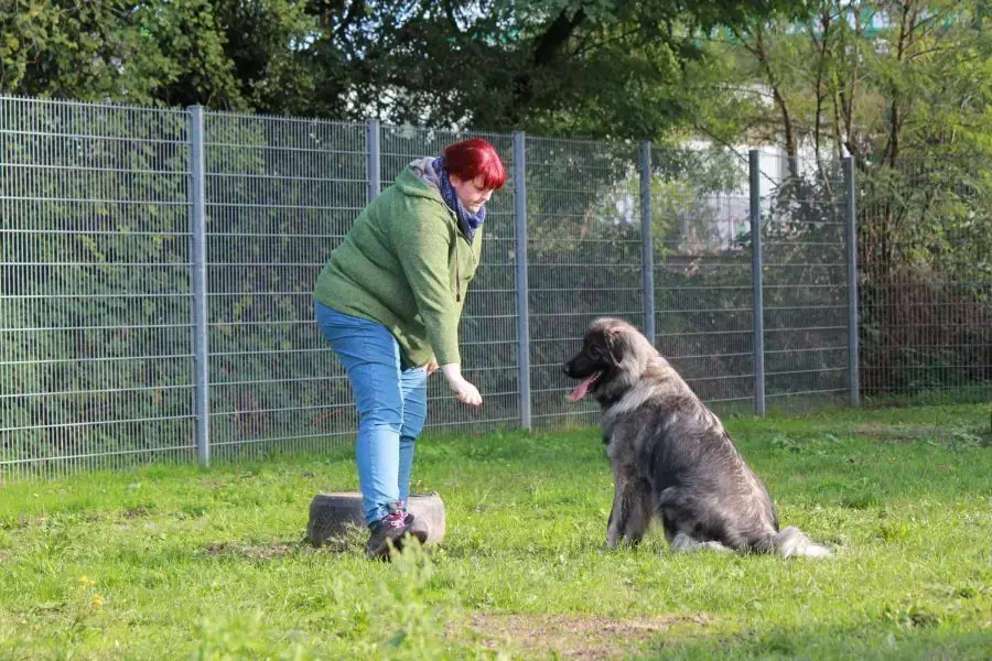 Rocky -  - Bild 12