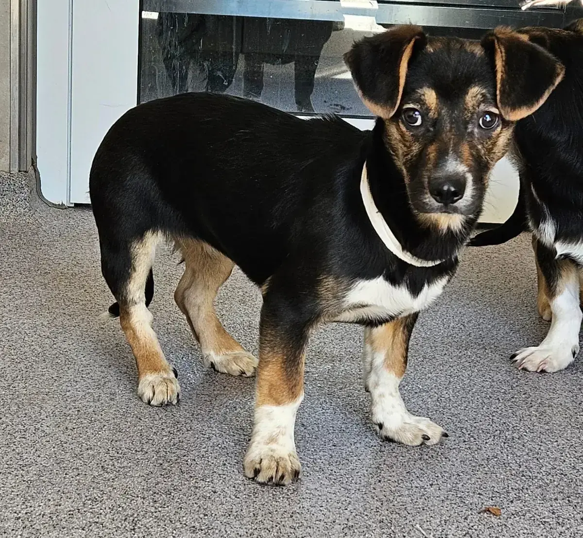 Wanda -  - Bild 1