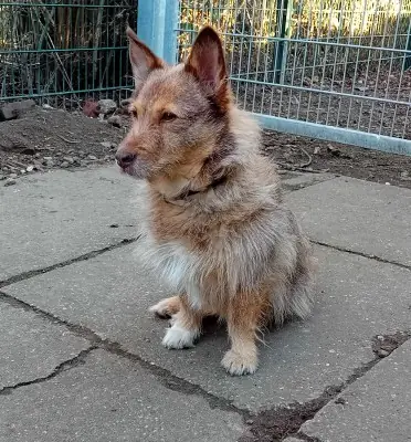 Zarina -  - Bild 1