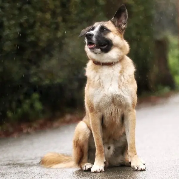 Nuka -  - Bild 3