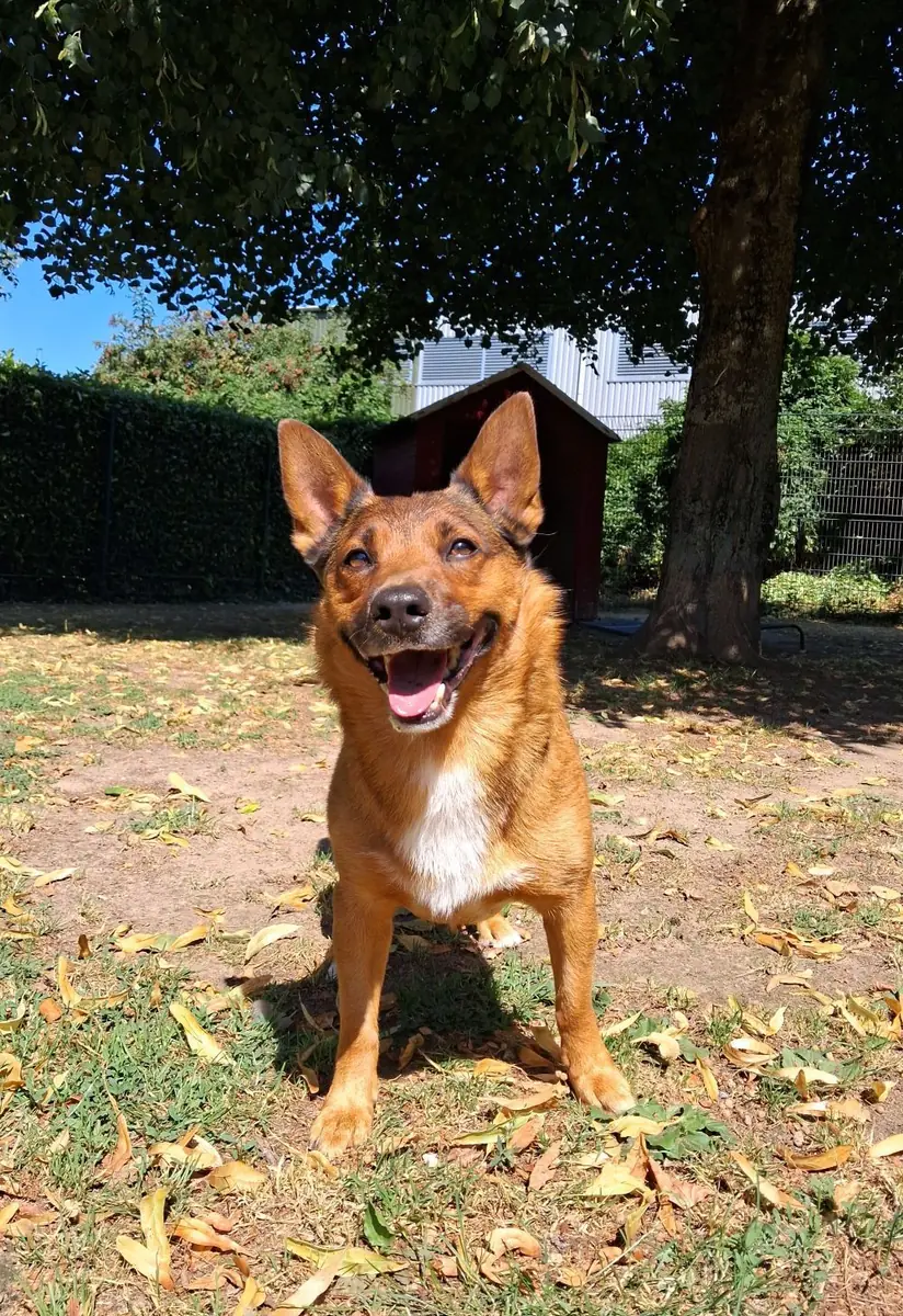 Felix -  - Bild 1