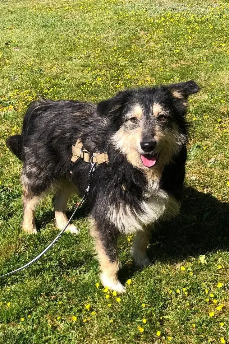 Greta -  - Bild 5