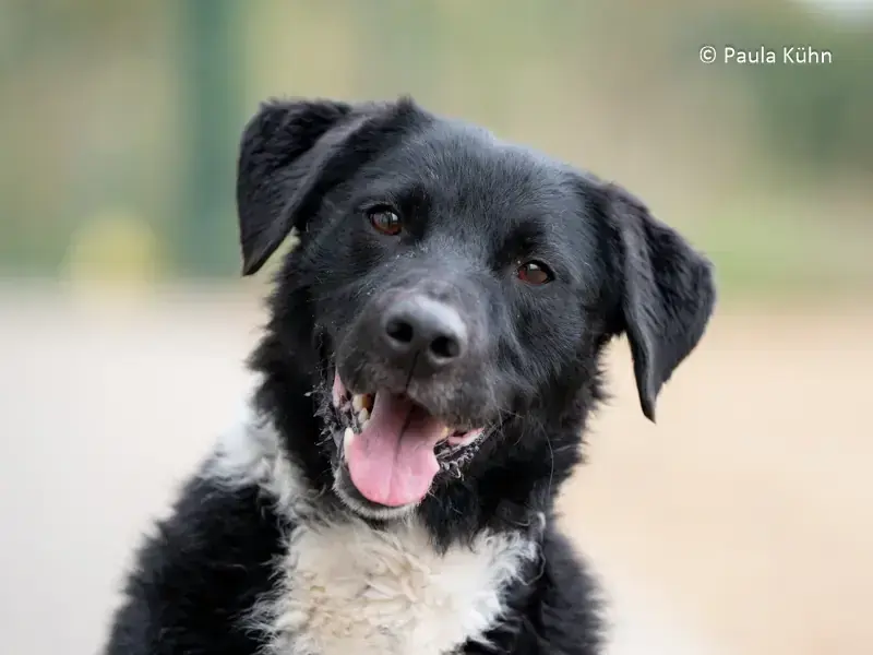 Spike -  - Bild 2