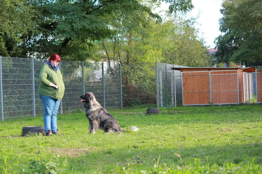 Rocky -  - Bild 21