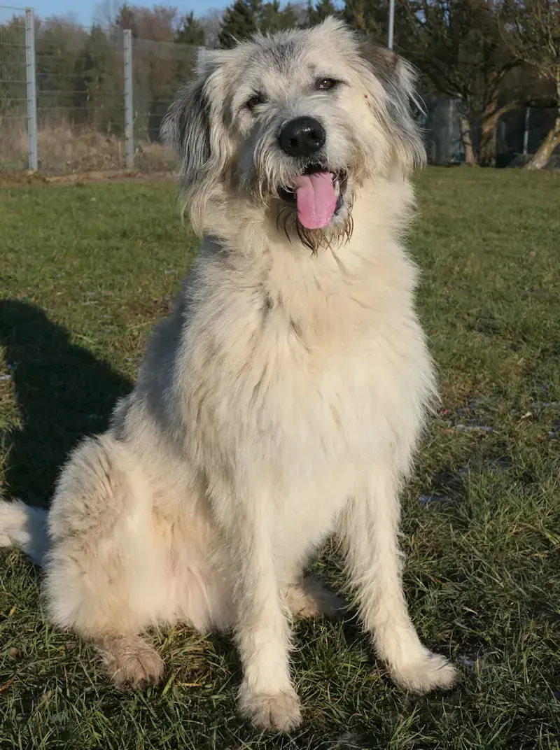 Bero -  - Bild 2