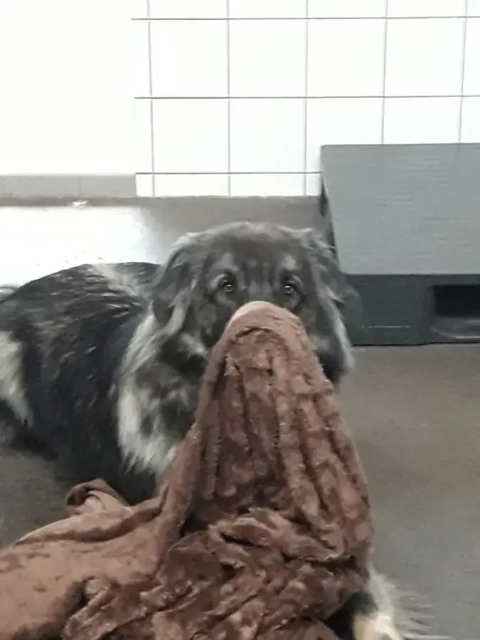 Rocky -  - Bild 15