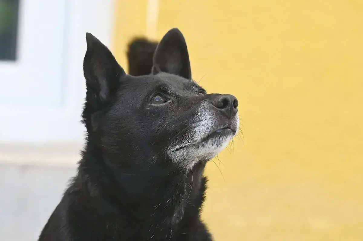 Fritzi -  - Bild 3