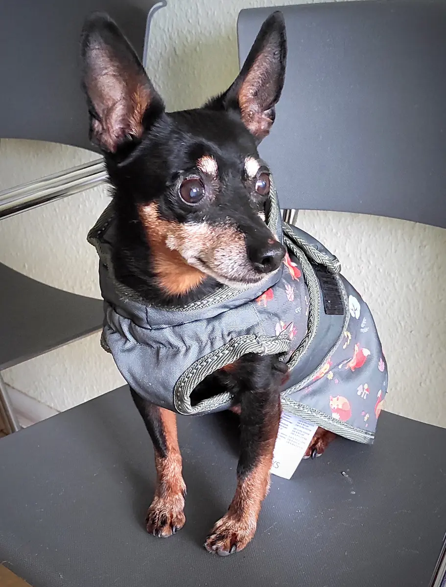 Lenny -  - Bild 5