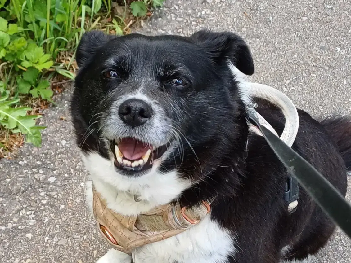 Bonnie -  - Bild 1