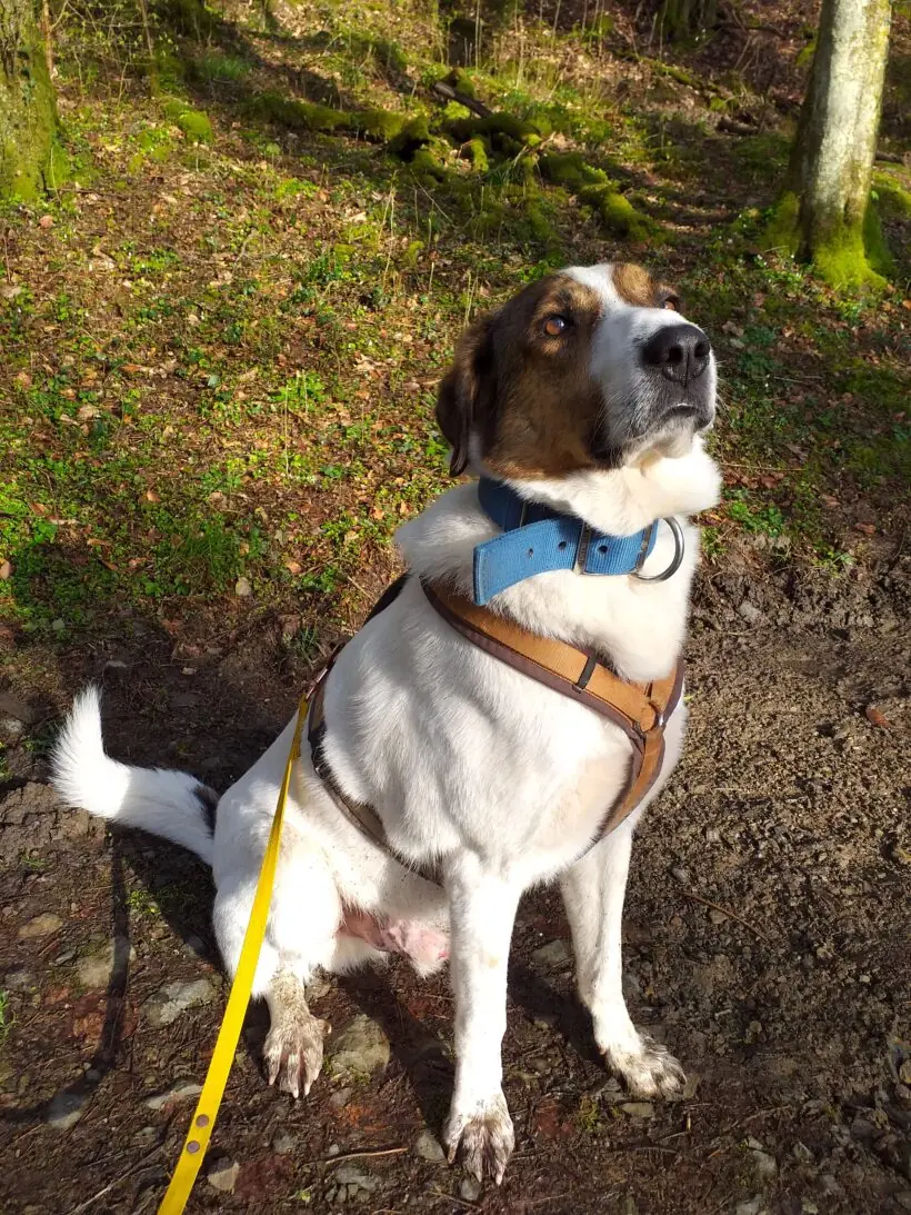 Jack -  - Bild 19