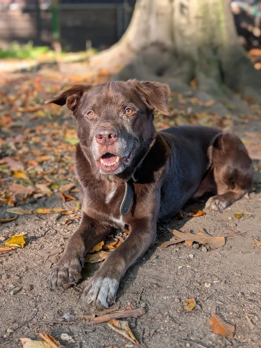 Zeus - Ca de Bestiar - Bild 2