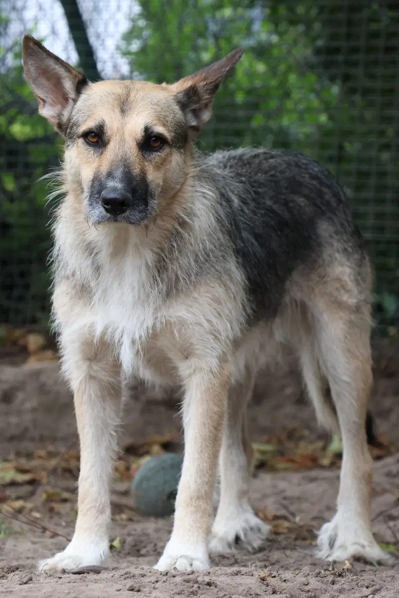 Lucy -  - Bild 2