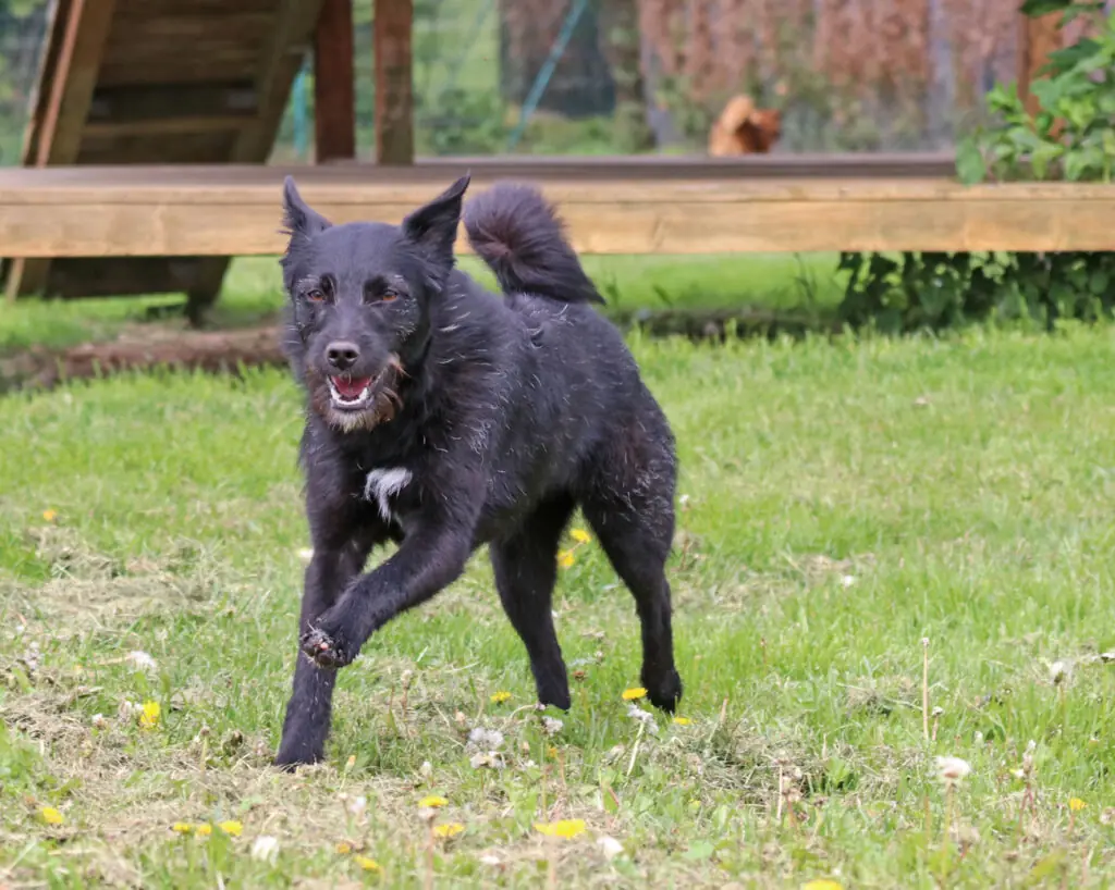 Gerda -  - Bild 2