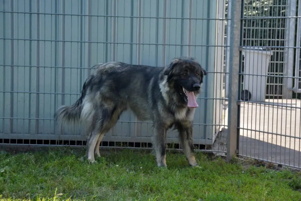 Rocky -  - Bild 11