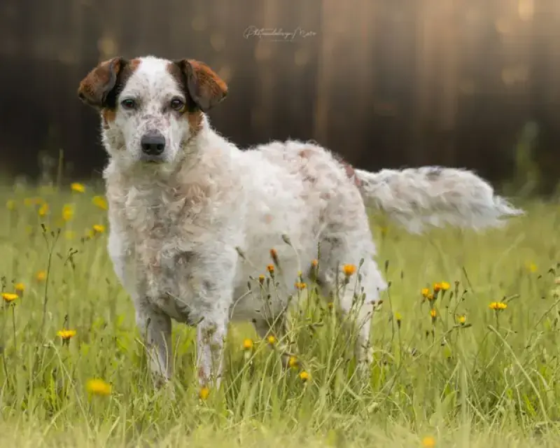 Betty -  - Bild 18