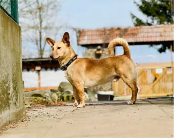 Alan -  - Bild 2
