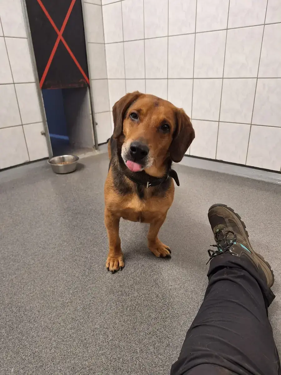 Fred -  - Bild 3