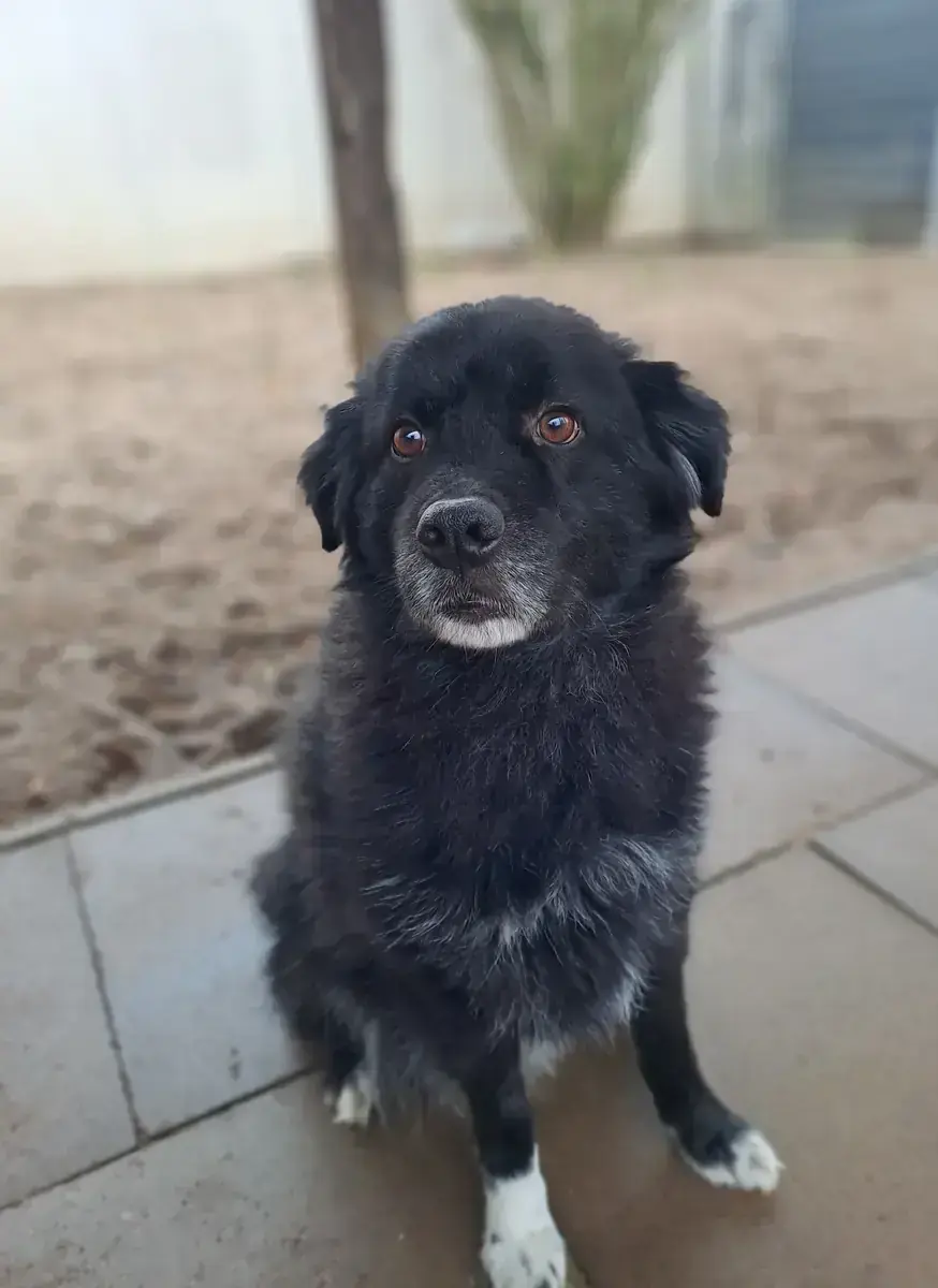 Mix Jack