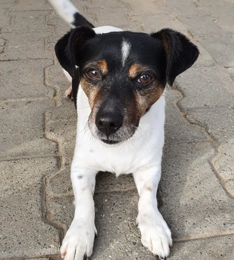 Max -  - Bild 3